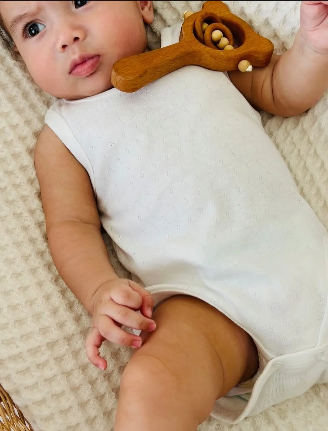 بادی سوزنی نوزاد