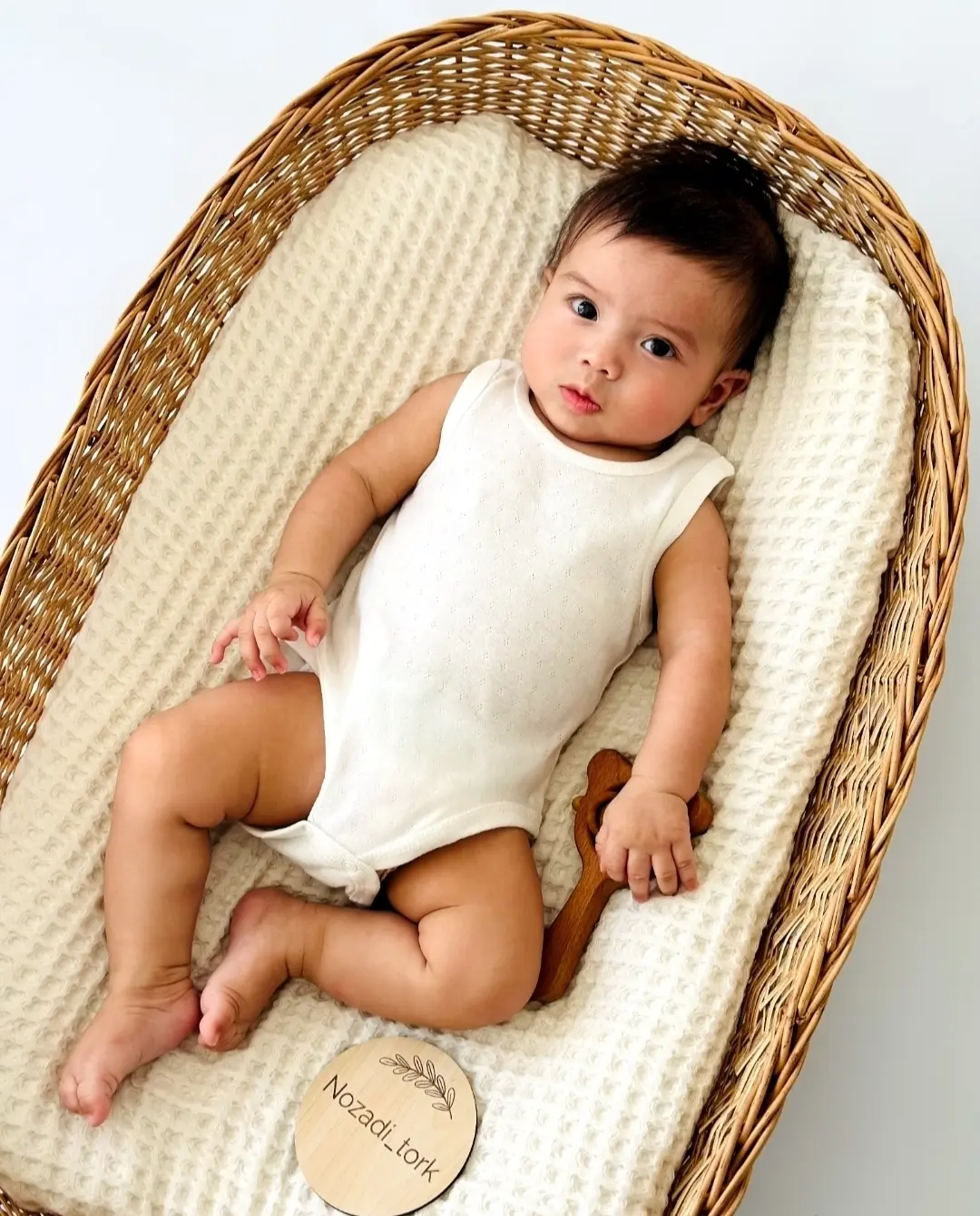 بادی سوزنی نوزاد